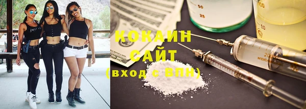 твердый Аркадак