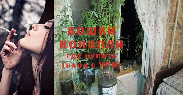ГАЛЛЮЦИНОГЕННЫЕ ГРИБЫ Арсеньев