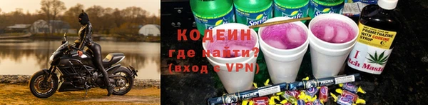 ГАЛЛЮЦИНОГЕННЫЕ ГРИБЫ Арсеньев