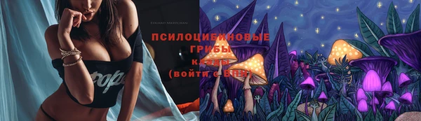 ГАЛЛЮЦИНОГЕННЫЕ ГРИБЫ Арсеньев