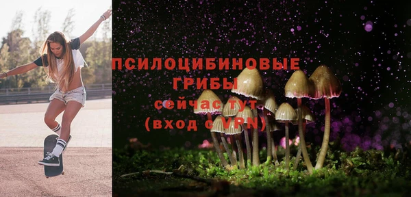 ешки Армянск