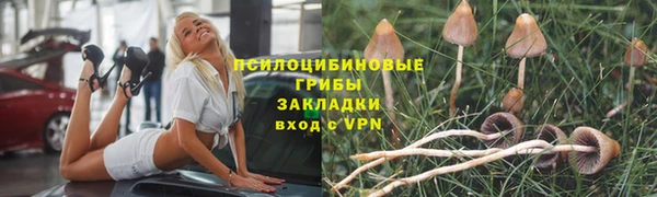 ГАЛЛЮЦИНОГЕННЫЕ ГРИБЫ Арсеньев