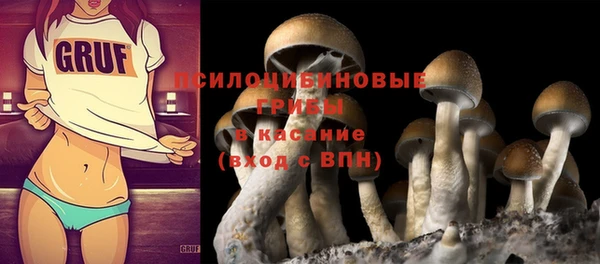 твердый Аркадак