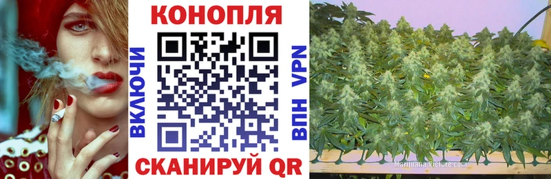 МАРИХУАНА семена  Остров 
